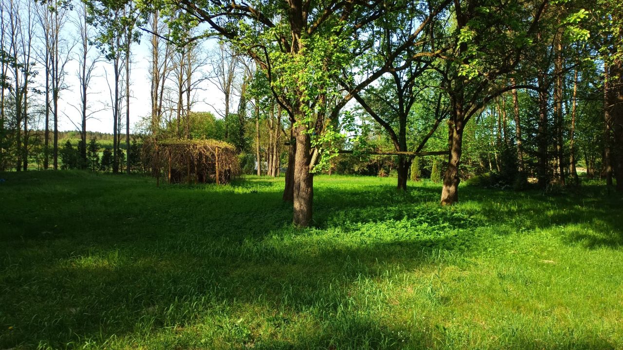 Działka budowlana Drochlin Ostrów Podlejski. Zdjęcie 3