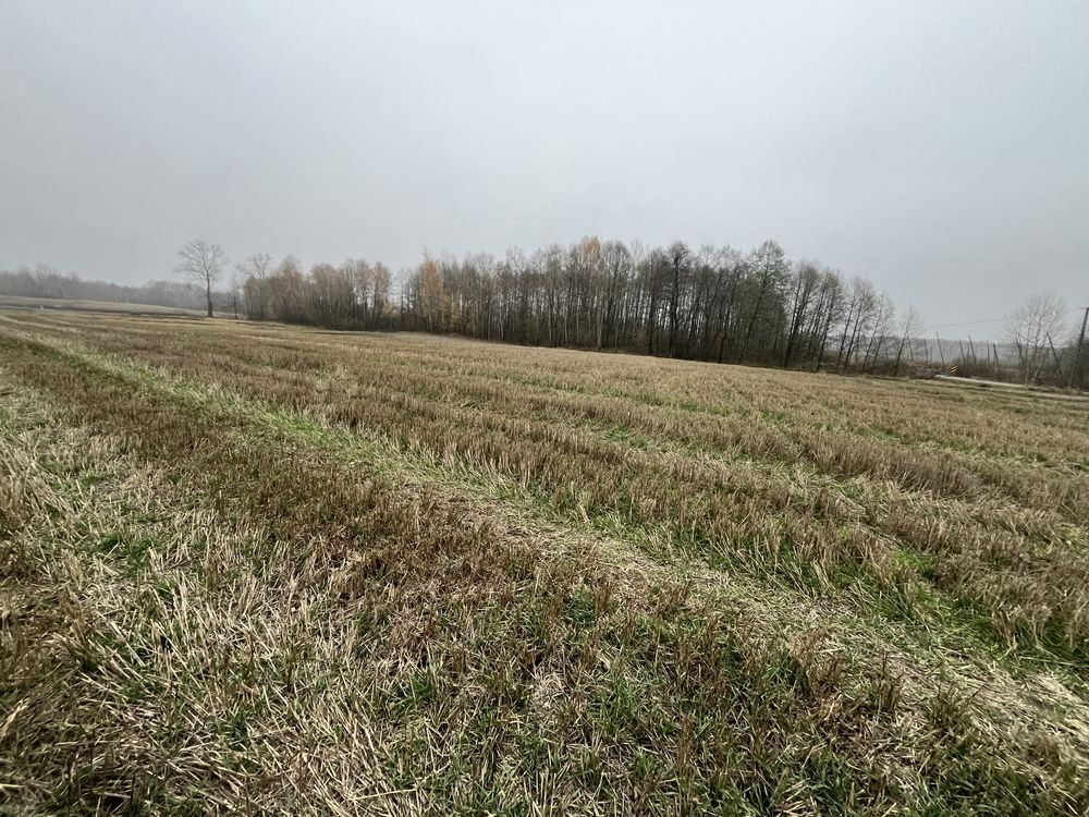 Działka budowlana Rozkopaczew. Zdjęcie 5