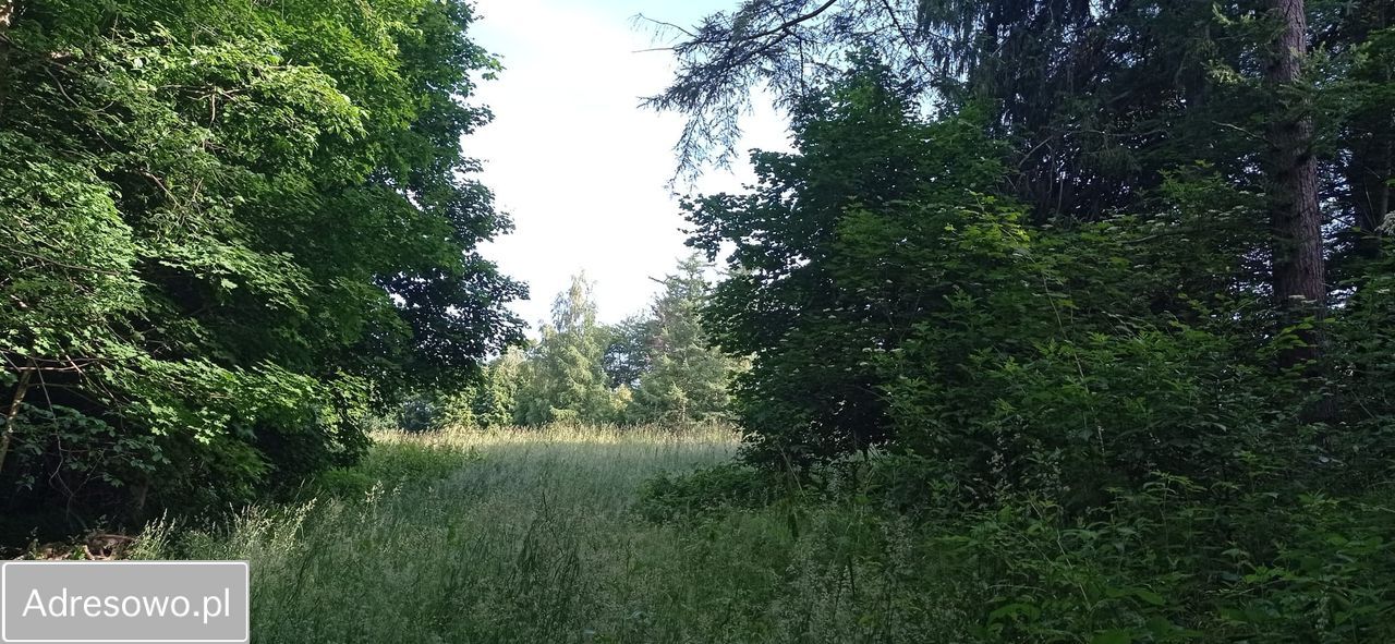 Działka budowlana Cetuń. Zdjęcie 7