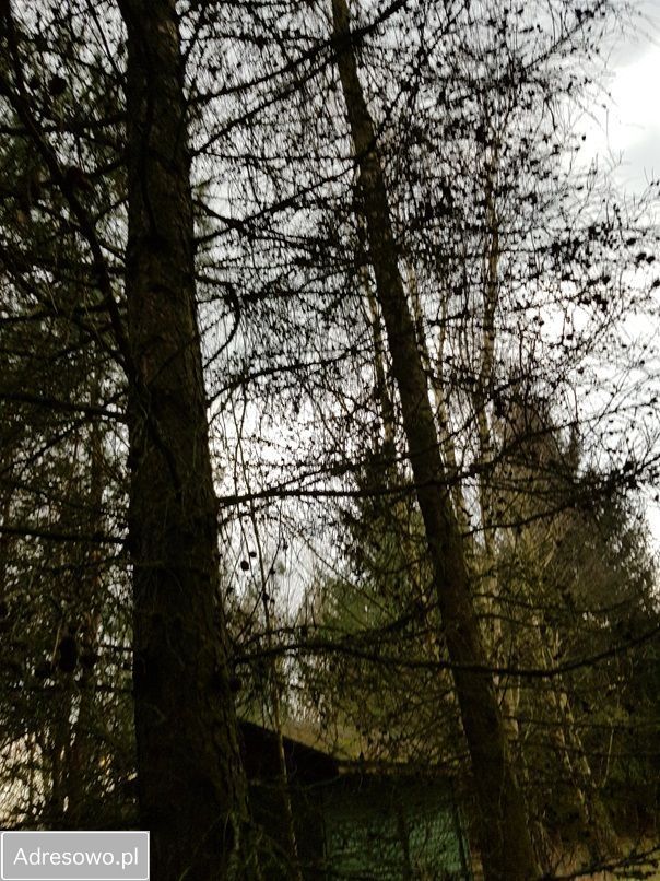 Działka rolna Ossówno. Zdjęcie 2