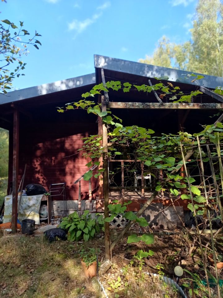 Działka rod Międzyborów. Zdjęcie 7