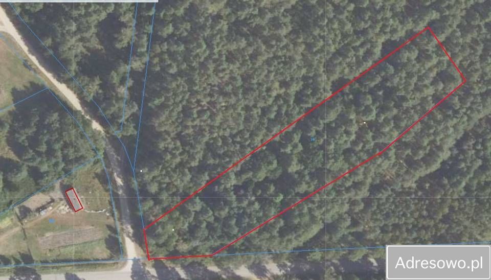 Działka leśna Planta