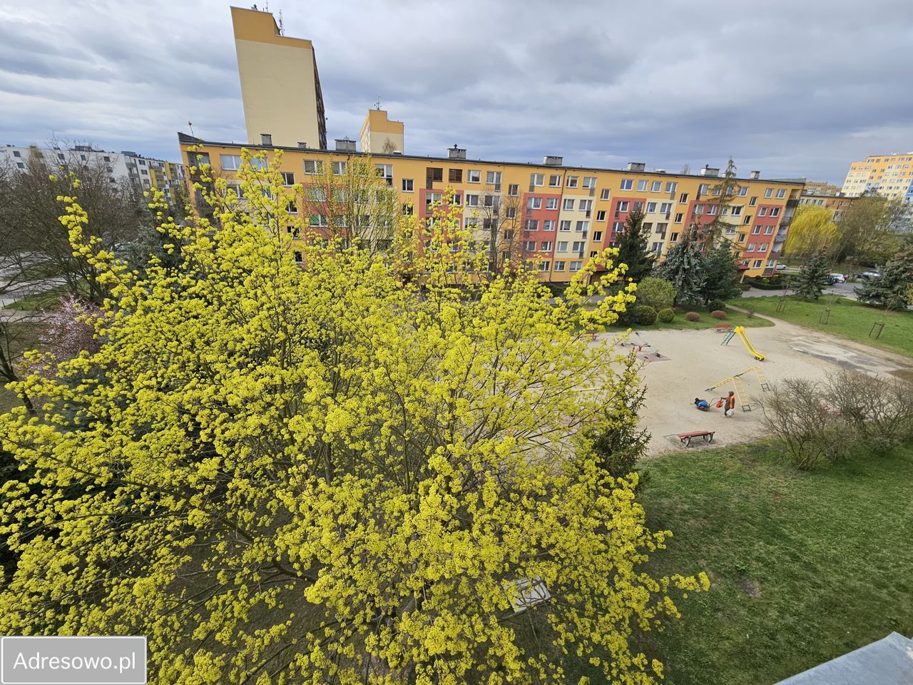 Mieszkanie 2-pokojowe Wrocław Psie Pole, ul. Kiełczowska. Zdjęcie 9