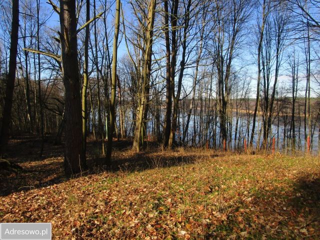 Działka rekreacyjna Tuczno. Zdjęcie 1