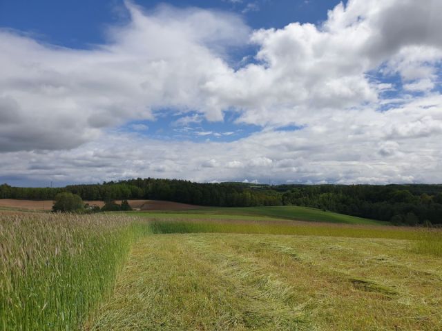 Działka budowlana Barłomino. Zdjęcie 4