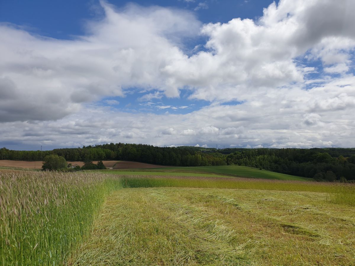 Działka budowlana Barłomino. Zdjęcie 4