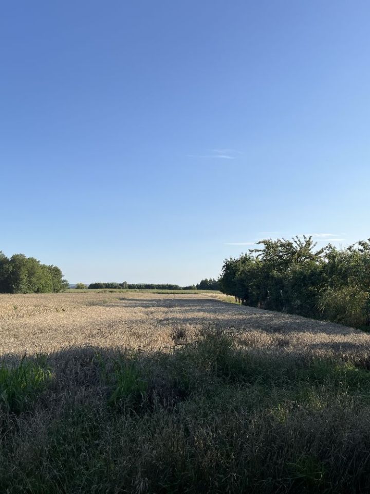 gospodarstwo Jezierzyce Wielkie. Zdjęcie 2