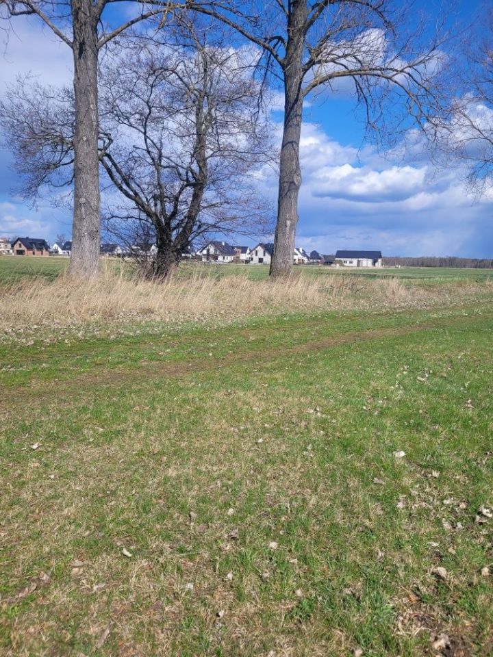 Działka rolna Opole Malina. Zdjęcie 2