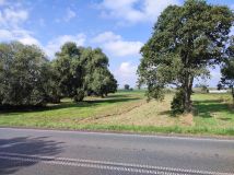 Działka rolna Jeziorsko. Zdjęcie 1