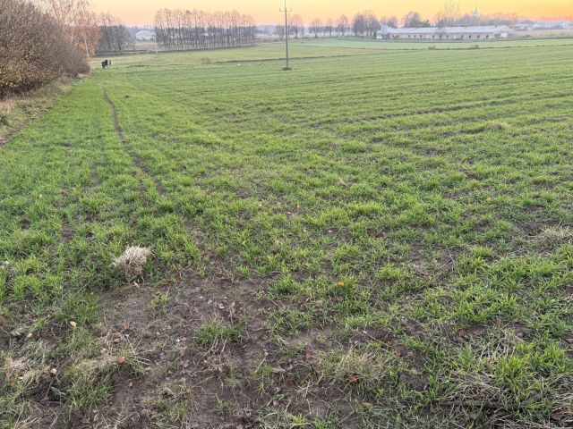 Działka rolna Krzemienica. Zdjęcie 2