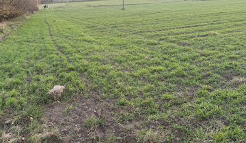 Działka rolna Krzemienica