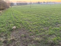 Działka rolna Krzemienica. Zdjęcie 1