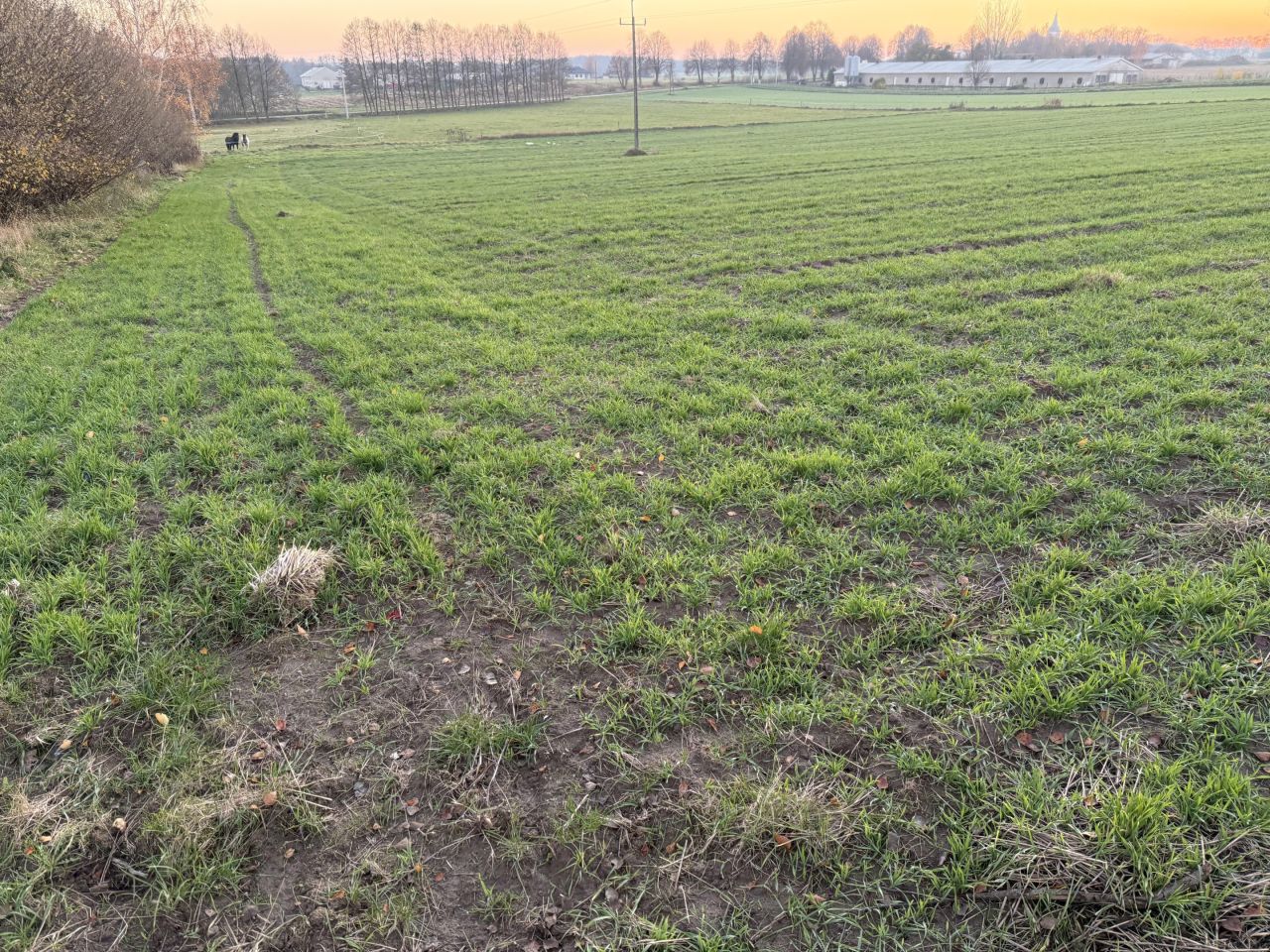 Działka rolna Krzemienica. Zdjęcie 2