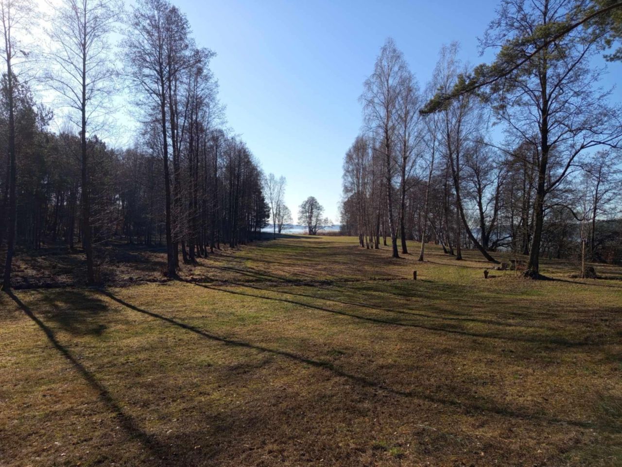 Działka rolna Zabrody, Zabrody