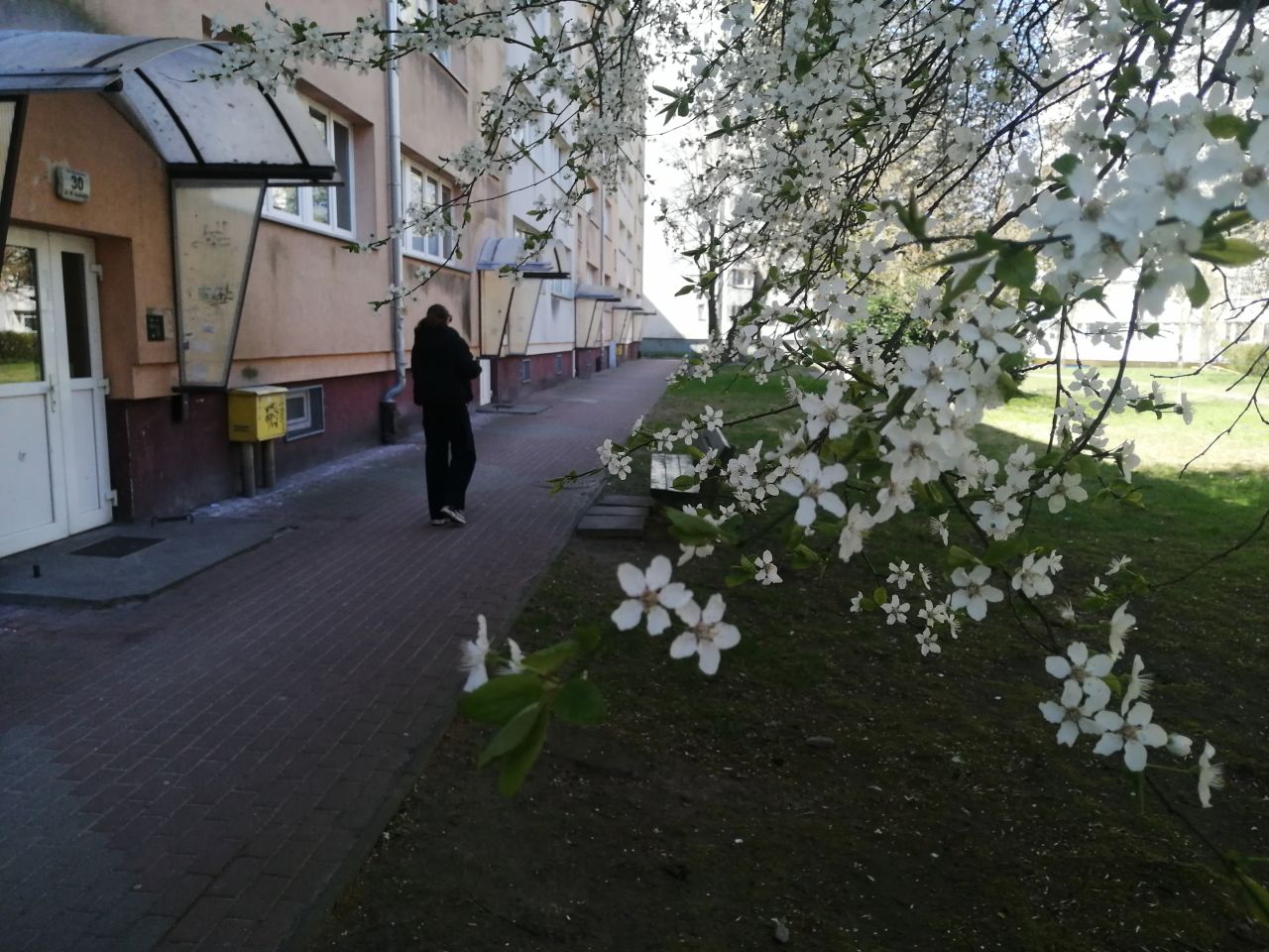 Mieszkanie 2-pokojowe Szczecin Niebuszewo, ul. bł. Wincentego Kadłubka. Zdjęcie 17