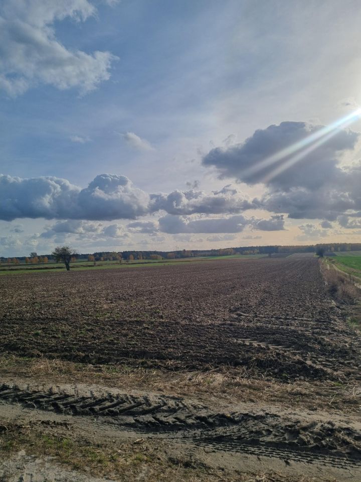 Działka rolna Żerdź. Zdjęcie 2