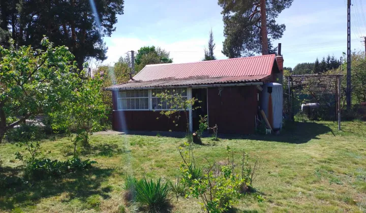 Działka rolno-budowlana Wola Uhruska