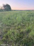 Działka budowlana Wilczopole-Kolonia, ul. Pigwowa. Zdjęcie 2