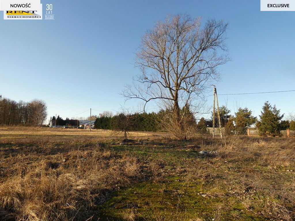 Działka inwestycyjna Komarowo. Zdjęcie 2