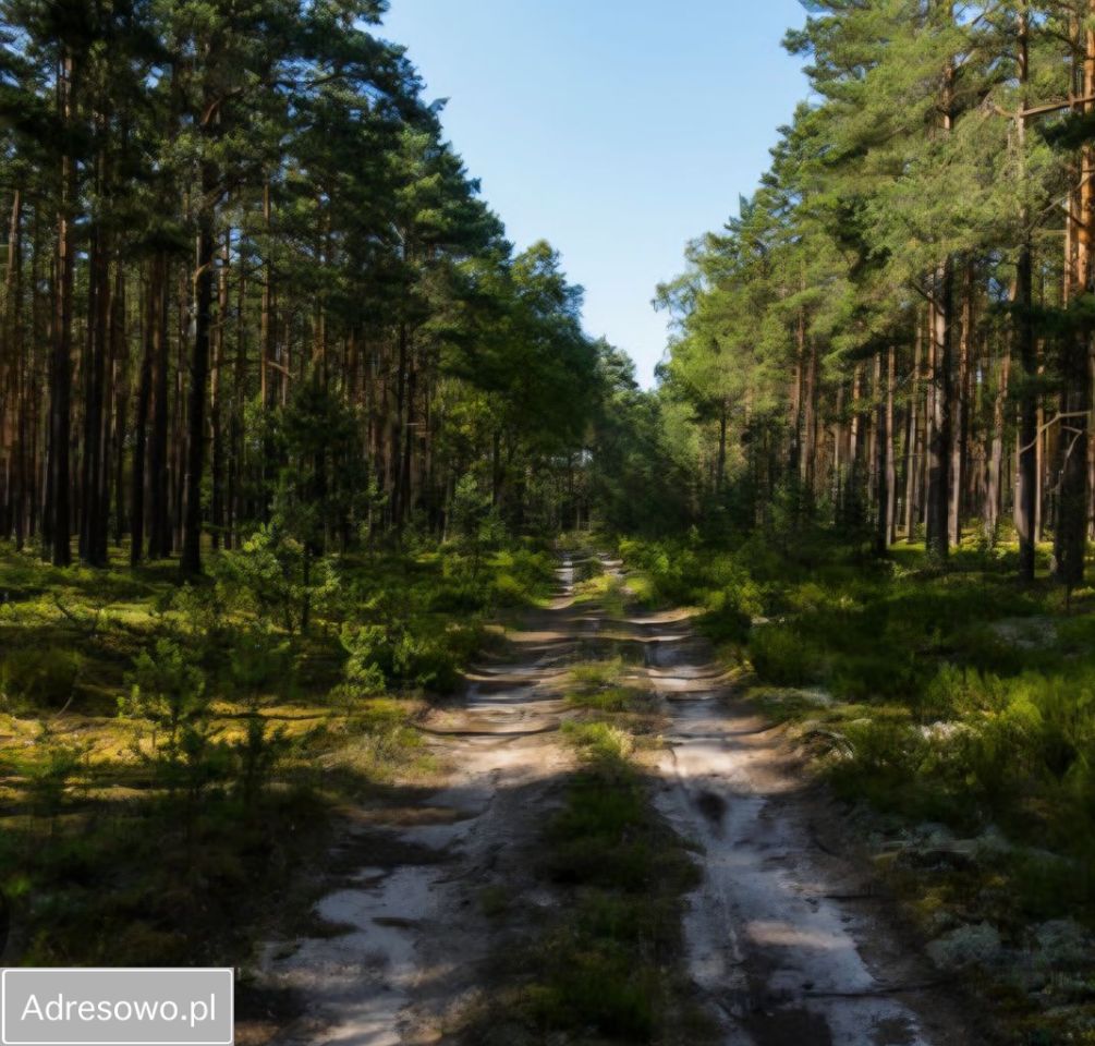 dom wolnostojący, 3 pokoje Drogoszowice. Zdjęcie 8