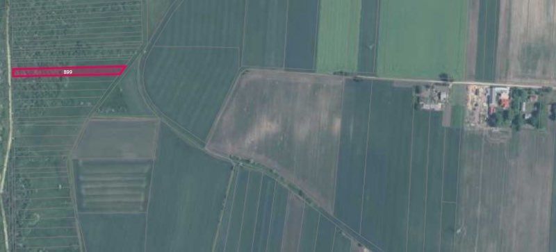 Działka rolna Rokitno. Zdjęcie 2