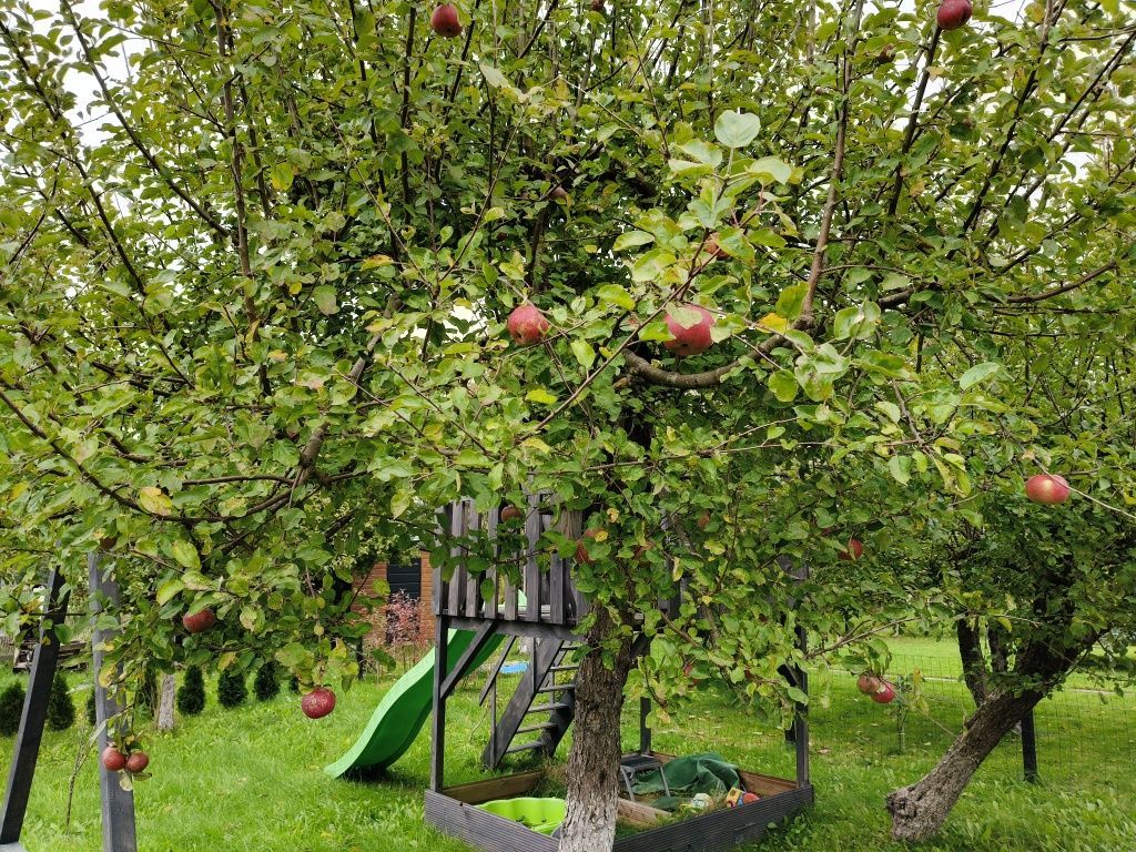 Działka rod Koszalin. Zdjęcie 3