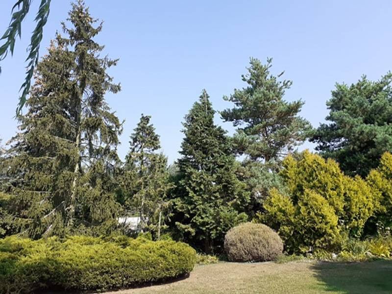 dom wolnostojący, 7 pokoi Gromadno. Zdjęcie 6