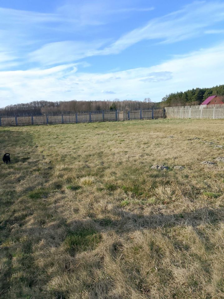 Działka rolno-budowlana Toczeń. Zdjęcie 5