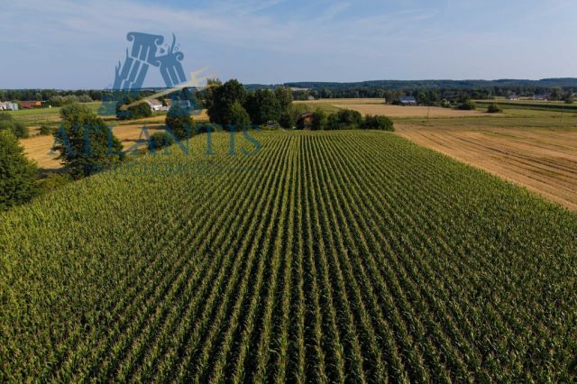 dom wolnostojący, 3 pokoje Czarże, ul. Chełmińska. Zdjęcie 4