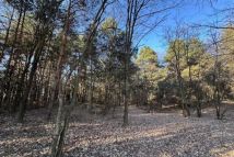 Działka leśna Wilczkowice Dolne. Zdjęcie 2