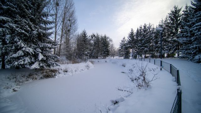 dom, 2 pokoje Sewerynów. Zdjęcie 29