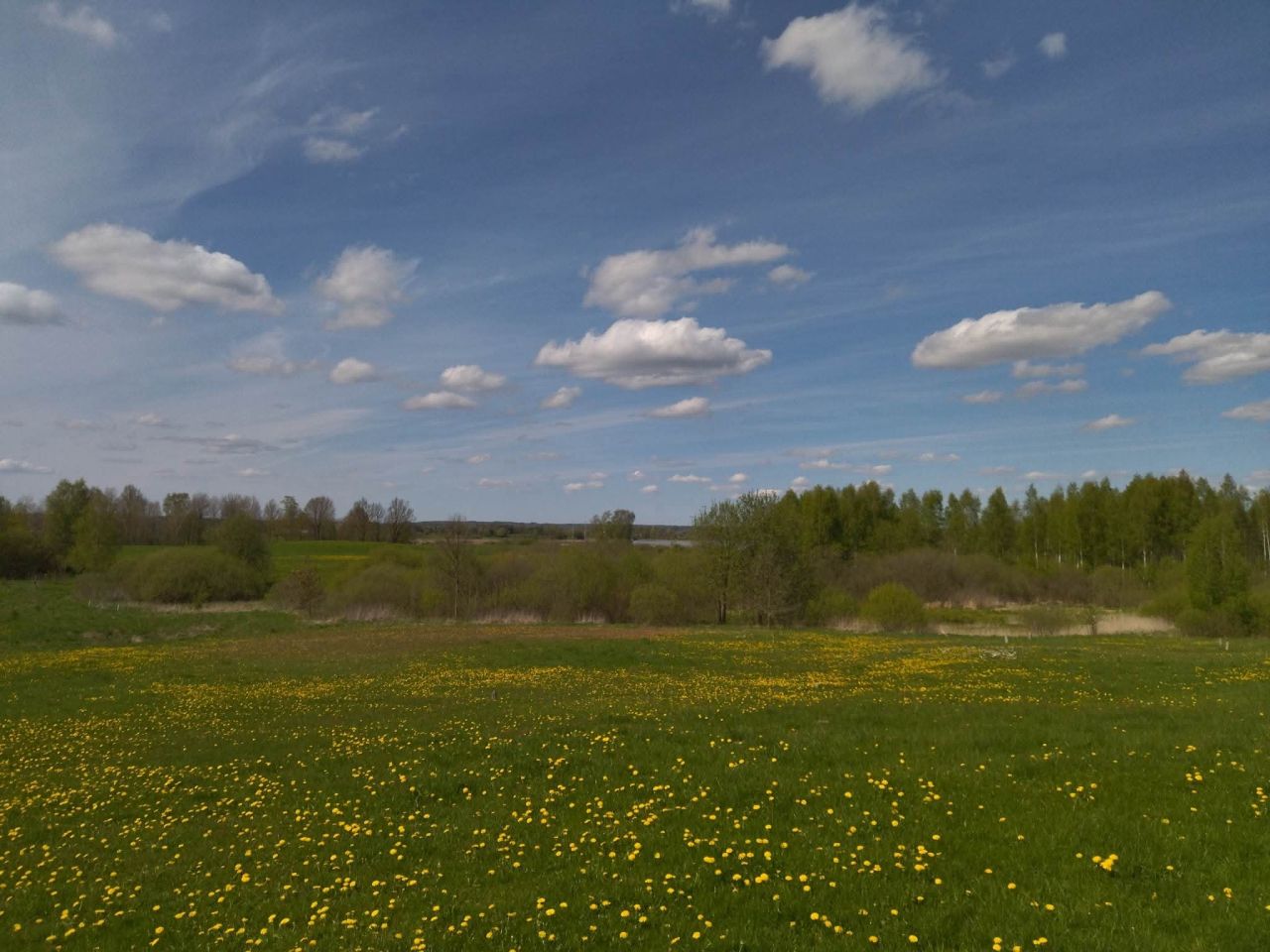 Działka rekreacyjna Raj. Zdjęcie 13