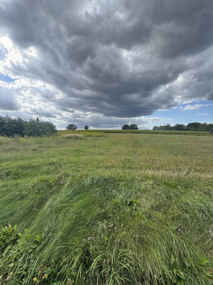 Działka budowlana Nowy Puznów. Zdjęcie 3