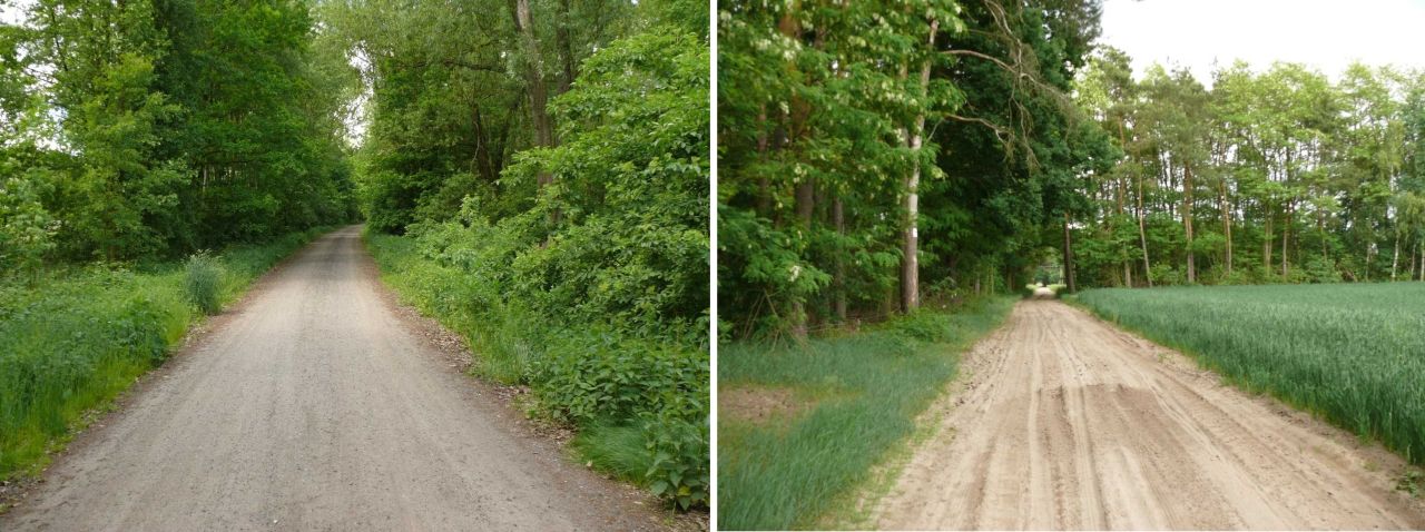 Działka rekreacyjna Złota. Zdjęcie 8