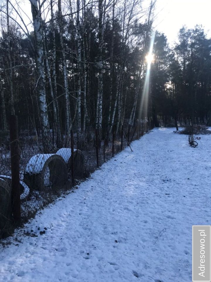 Działka budowlana Otwock, ul. Stefana Żeromskiego. Zdjęcie 4