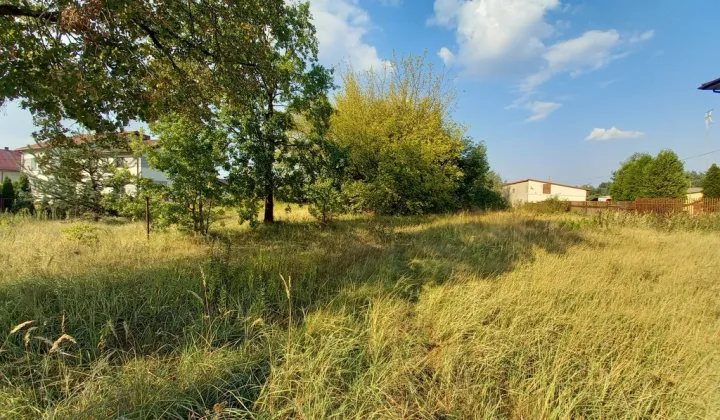 Działka rolno-budowlana Borzęcin Mały, ul. Warszawska