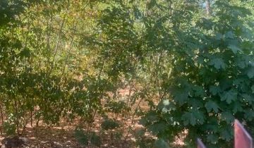 Działka inwestycyjna Otwock Świder