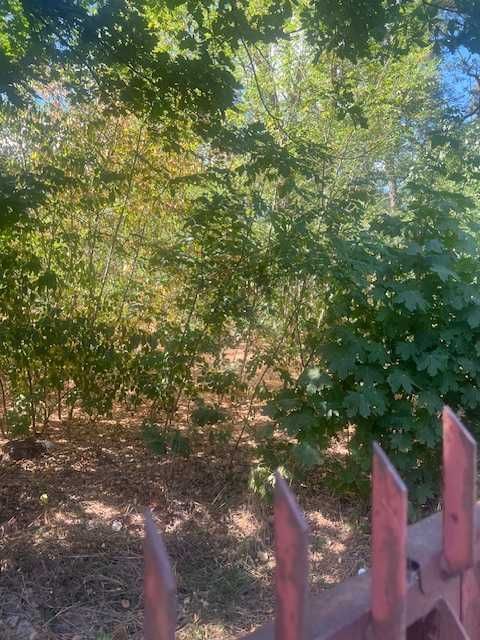 Działka inwestycyjna Otwock Świder. Zdjęcie 2