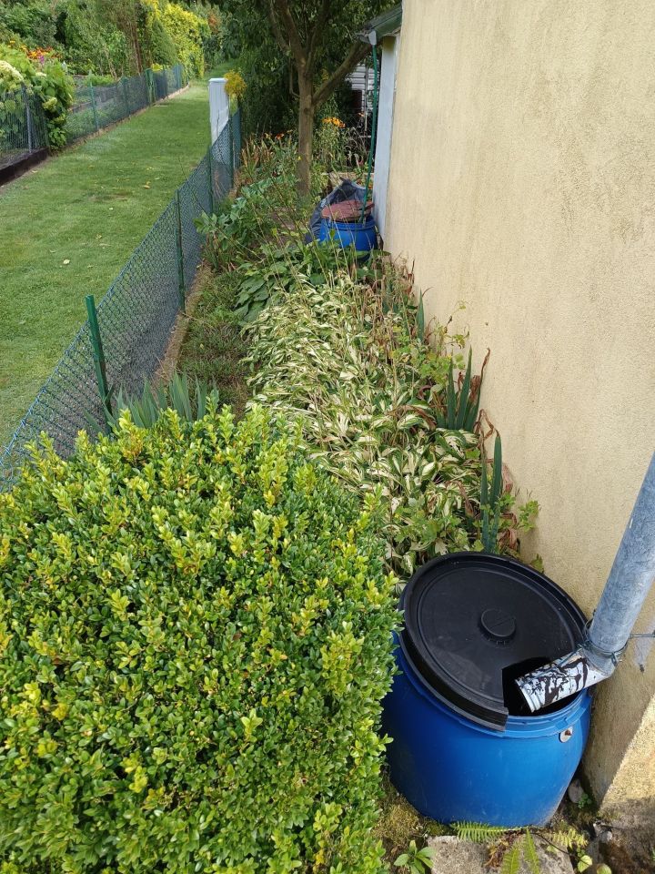 Działka rod Koszalin, ul. Wojska Polskiego. Zdjęcie 7