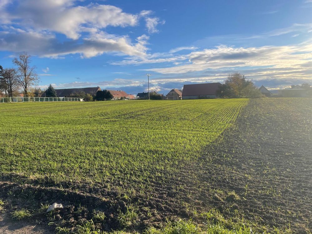 Działka budowlana Małuszów