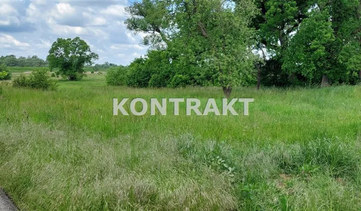 Działka rolno-budowlana Gorzów, ul. Krótka