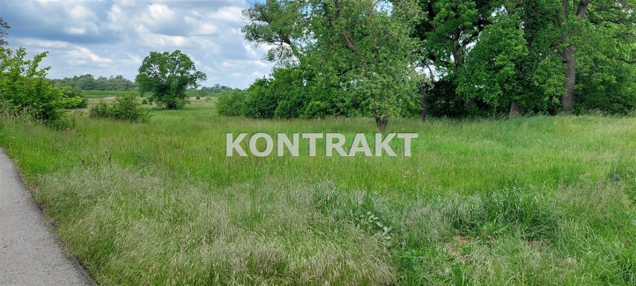 Działka rolno-budowlana Gorzów, ul. Krótka