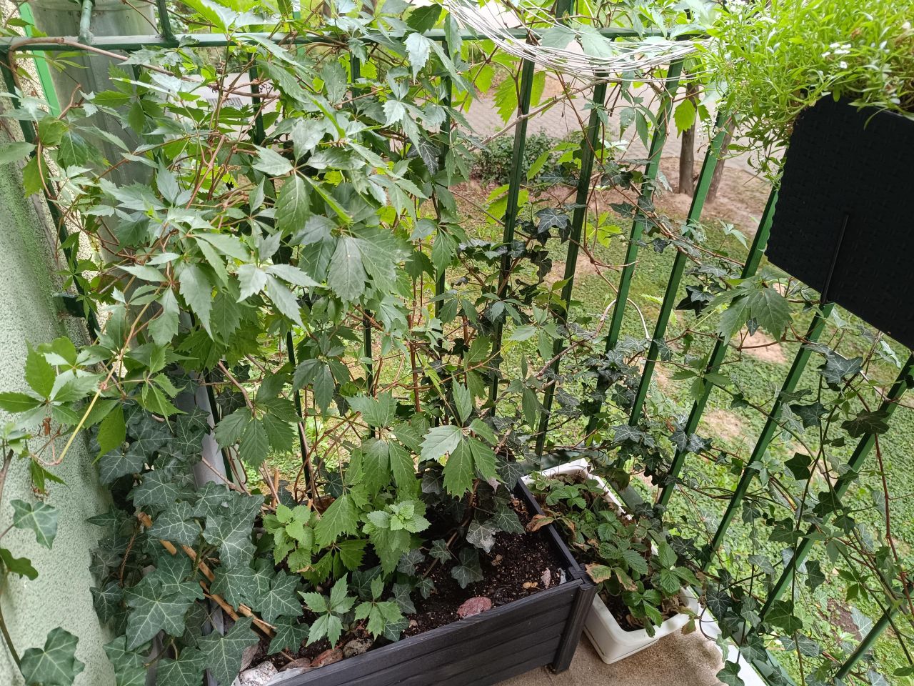 Mieszkanie 3-pokojowe Lublin Czuby, ul. Kaczeńcowa. Zdjęcie 19