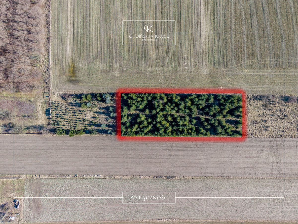 Działka rolna Łowęcin, ul. Sarbinowska. Zdjęcie 2