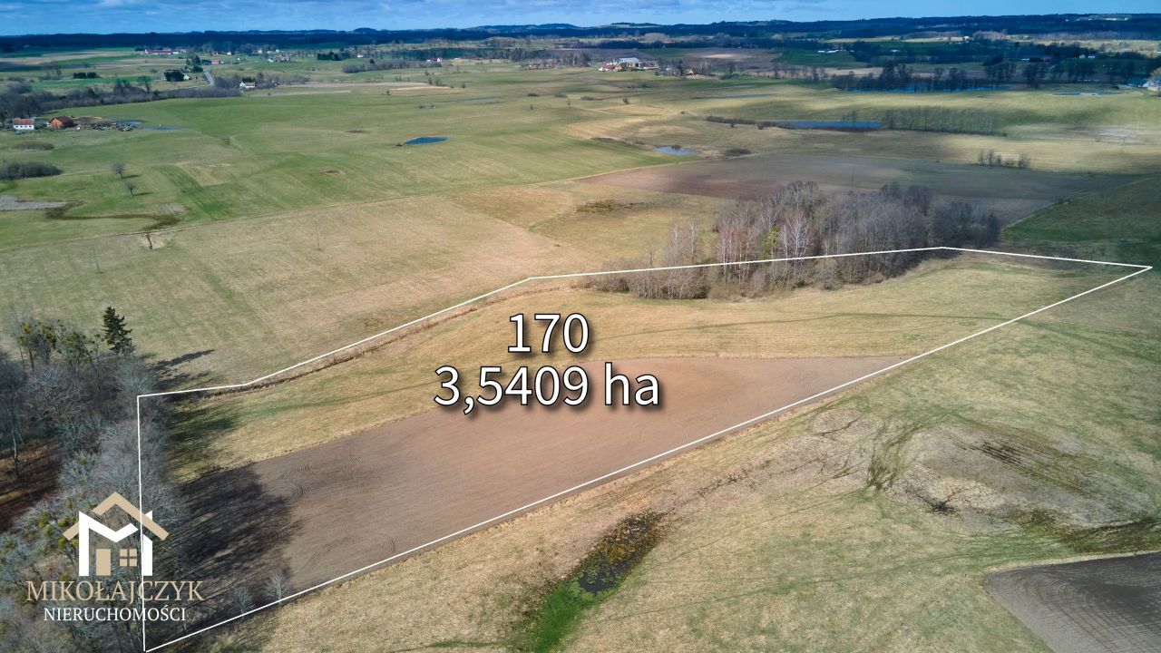 gospodarstwo, 5 pokoi Woryny. Zdjęcie 12