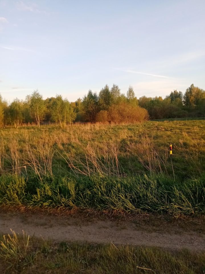 Działka budowlana Ploski. Zdjęcie 11