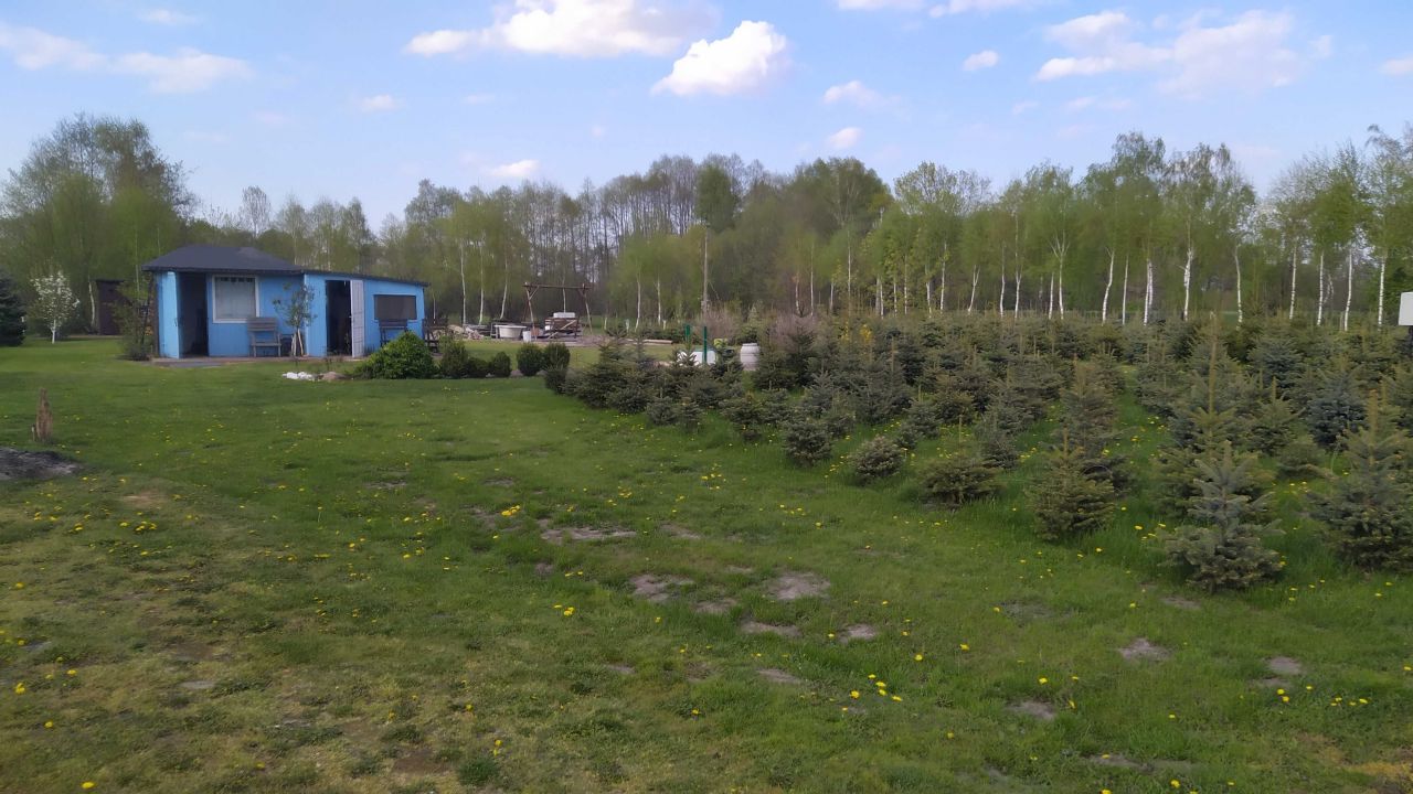 Działka budowlana Anielewo. Zdjęcie 1