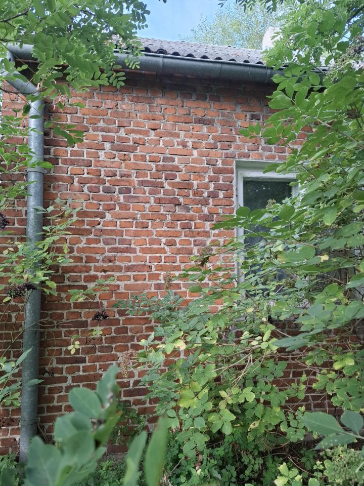 Działka rolno-budowlana Rembieszów Rembieszów-Kolonia. Zdjęcie 6