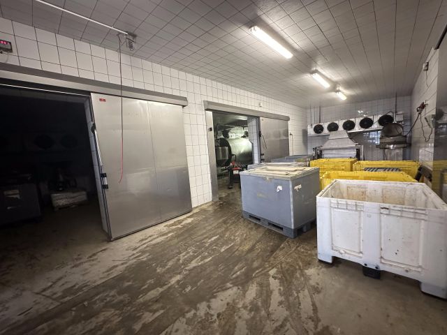 Hala/magazyn Ciechocin. Zdjęcie 10