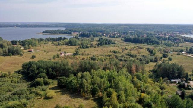Działka budowlana Ogonki. Zdjęcie 10